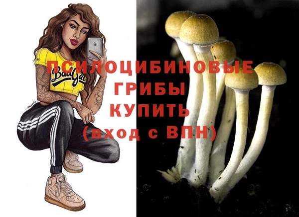 эйфоретик Гусиноозёрск