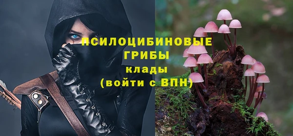 мескалин Новодвинск