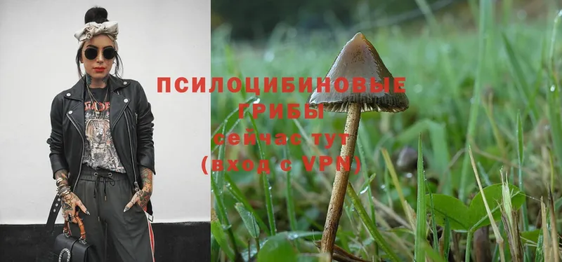 Галлюциногенные грибы Magic Shrooms  Никольское 